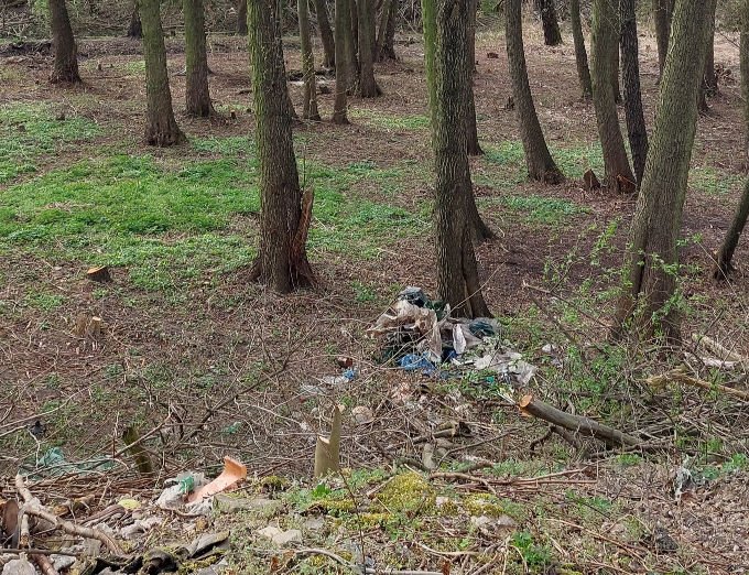 Příroda a bezpečí